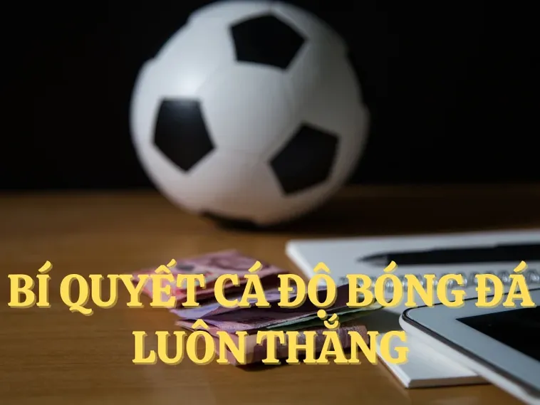 Tìm Hiểu Cá Cược Bóng Đá DV88: Hành Trang Cho Người Mới